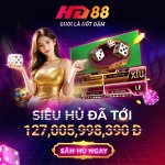 555730454_122154222686747339_4367562260190842715_n.jpg