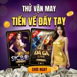 photo_2025-12-02 11.03.46.jpeg