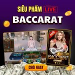 photo_2025-12-08 11.35.58.jpeg