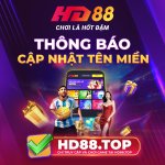 photo_2025-12-19 13.24.41.jpeg